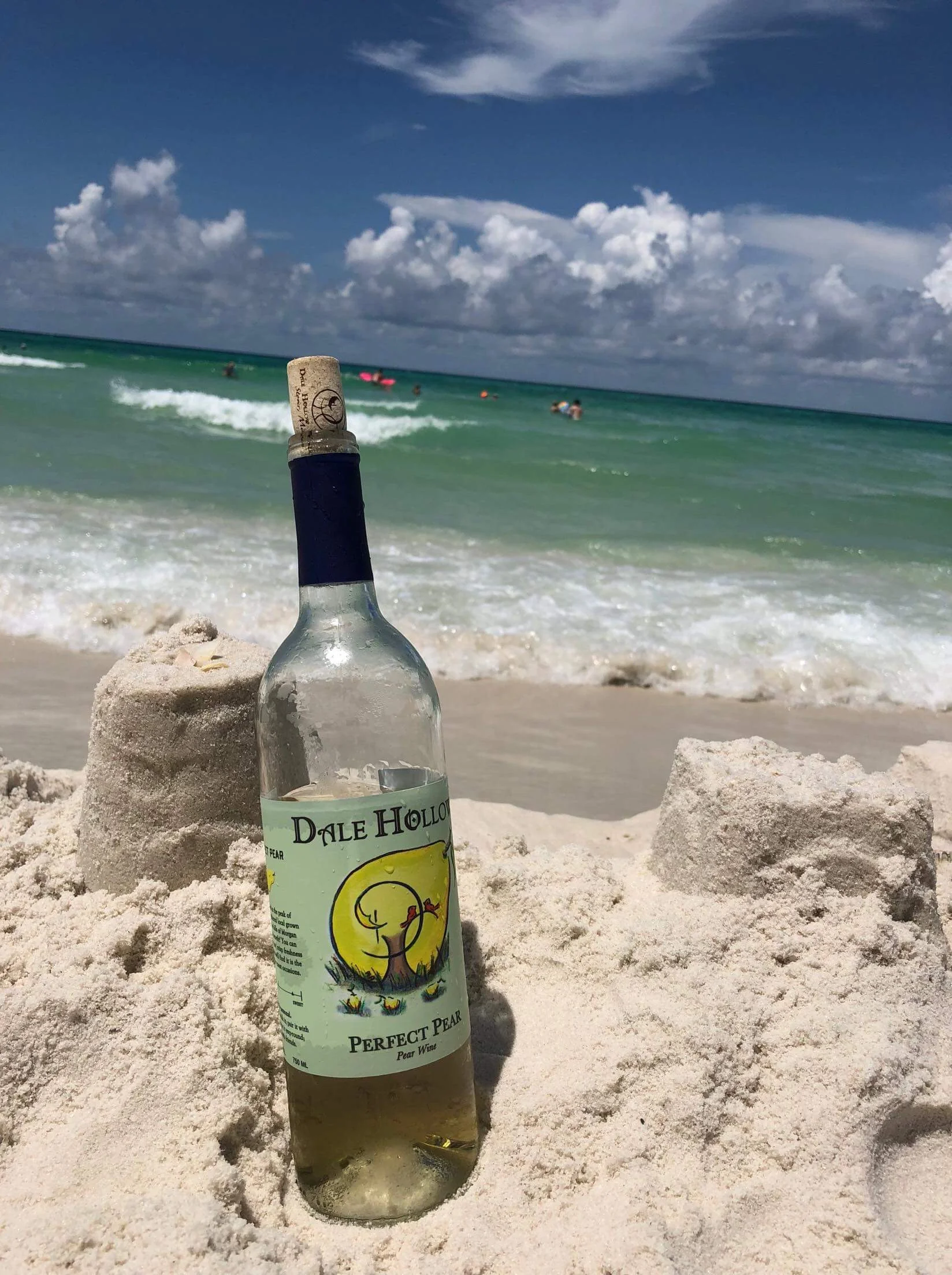 Dale Hollow Winter Wine Fix