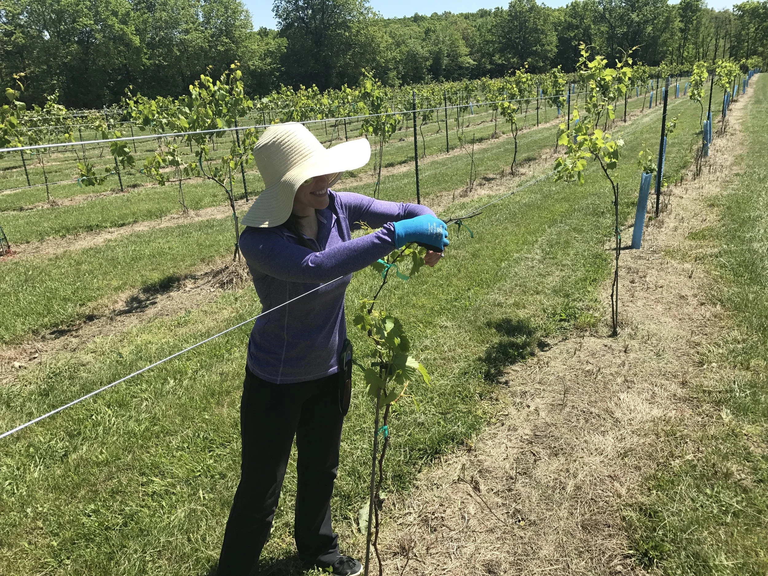 PruneFest 2019 - Saturday, March 16