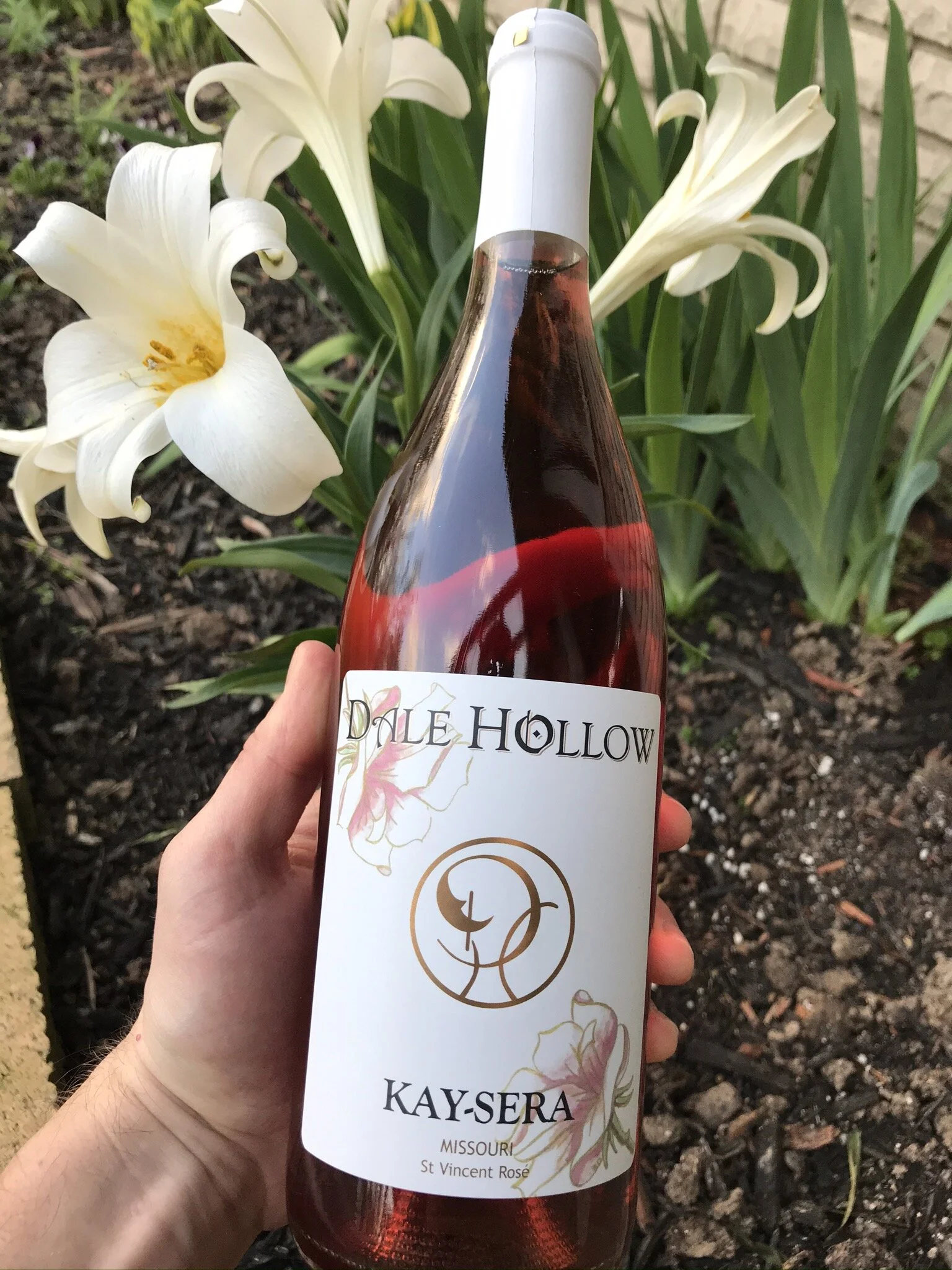 3 New Wines for 2020, First: "Kay-Sera" 