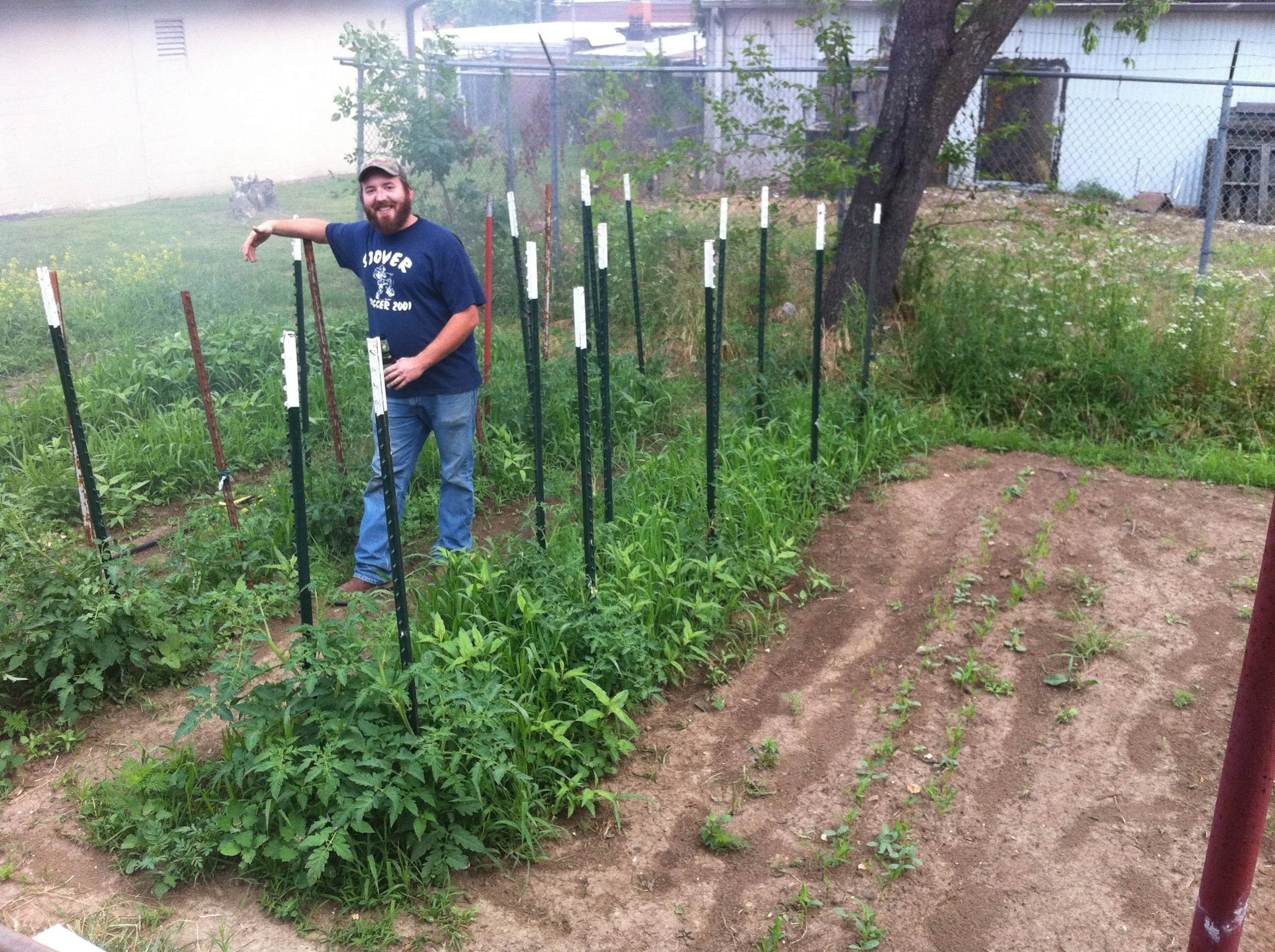 Chapter 1: Roots- Grafting Ideas