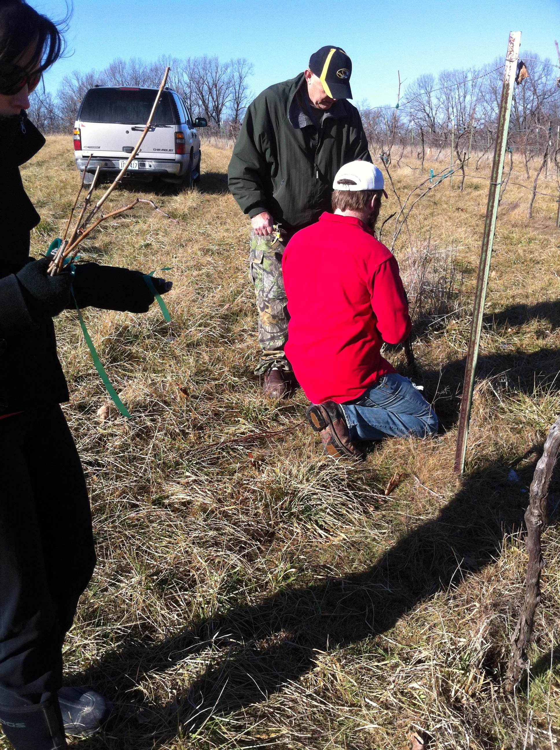 david pruning lessons.JPG