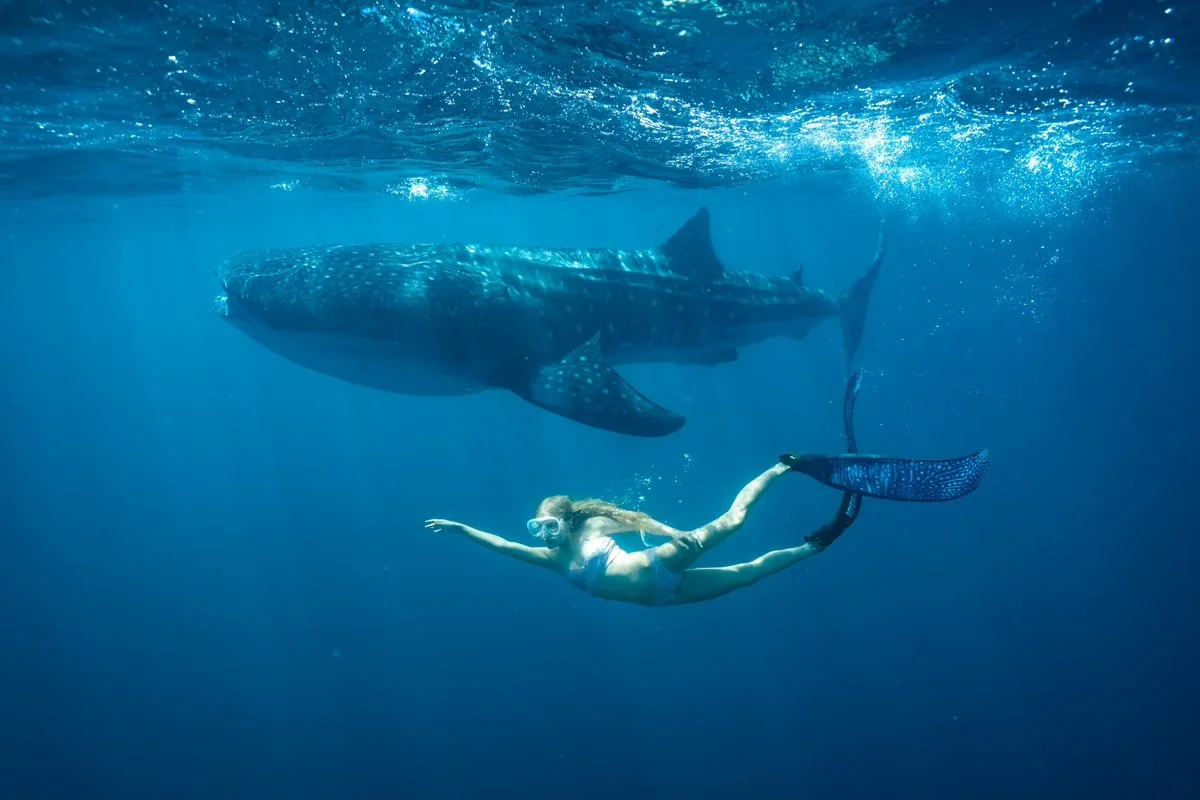 WSJ_STILLS-60 GG.jpg