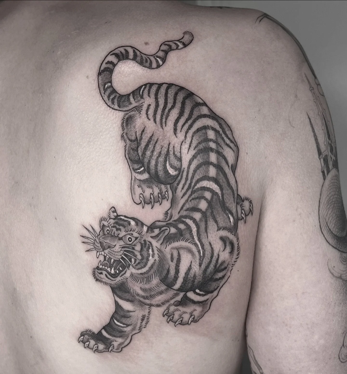 🐅
