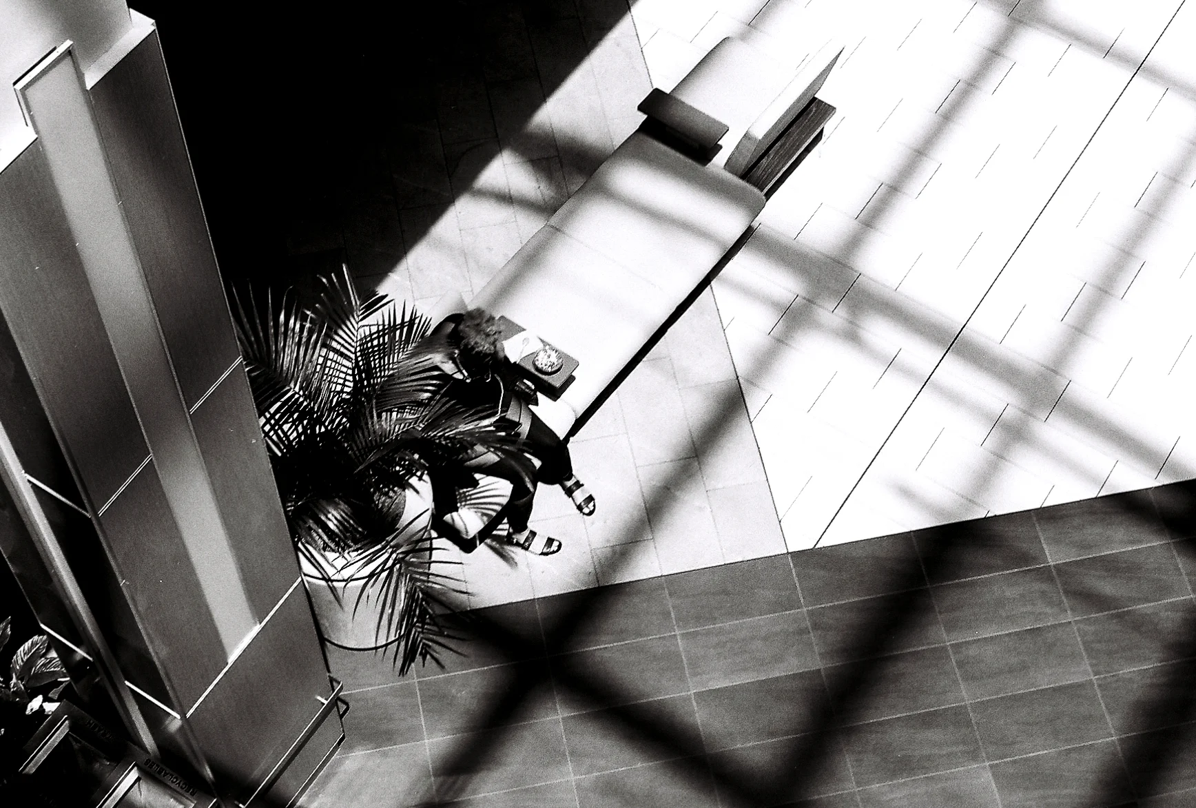 “Entangled”.jpg