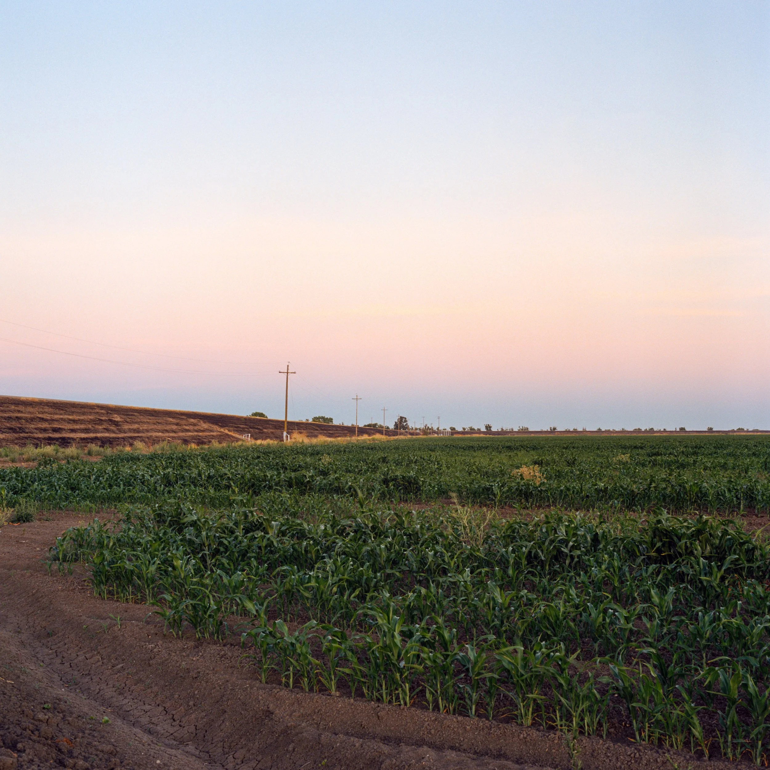 sunset gradient.jpg