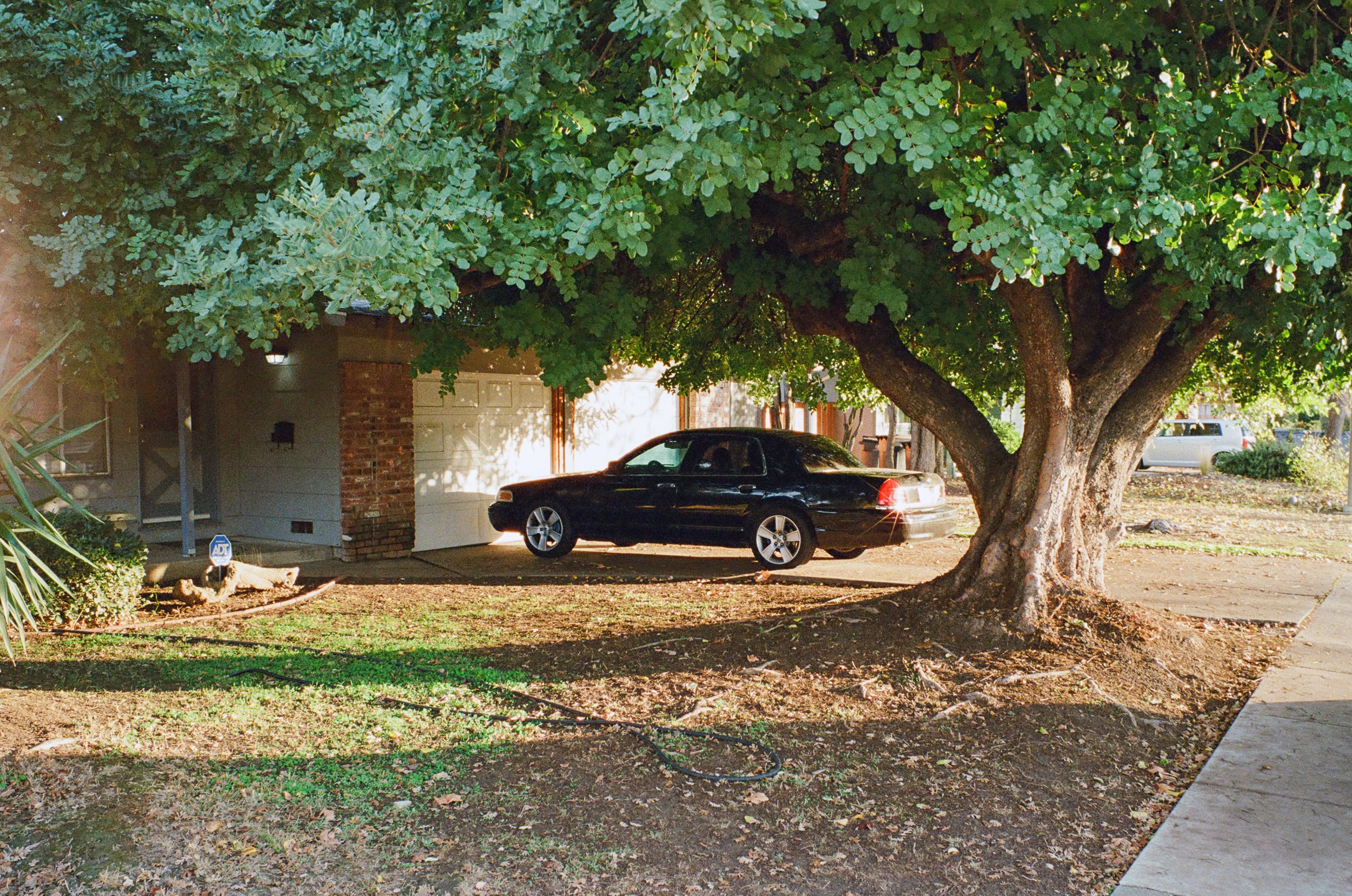 untitled shoot-057.jpg