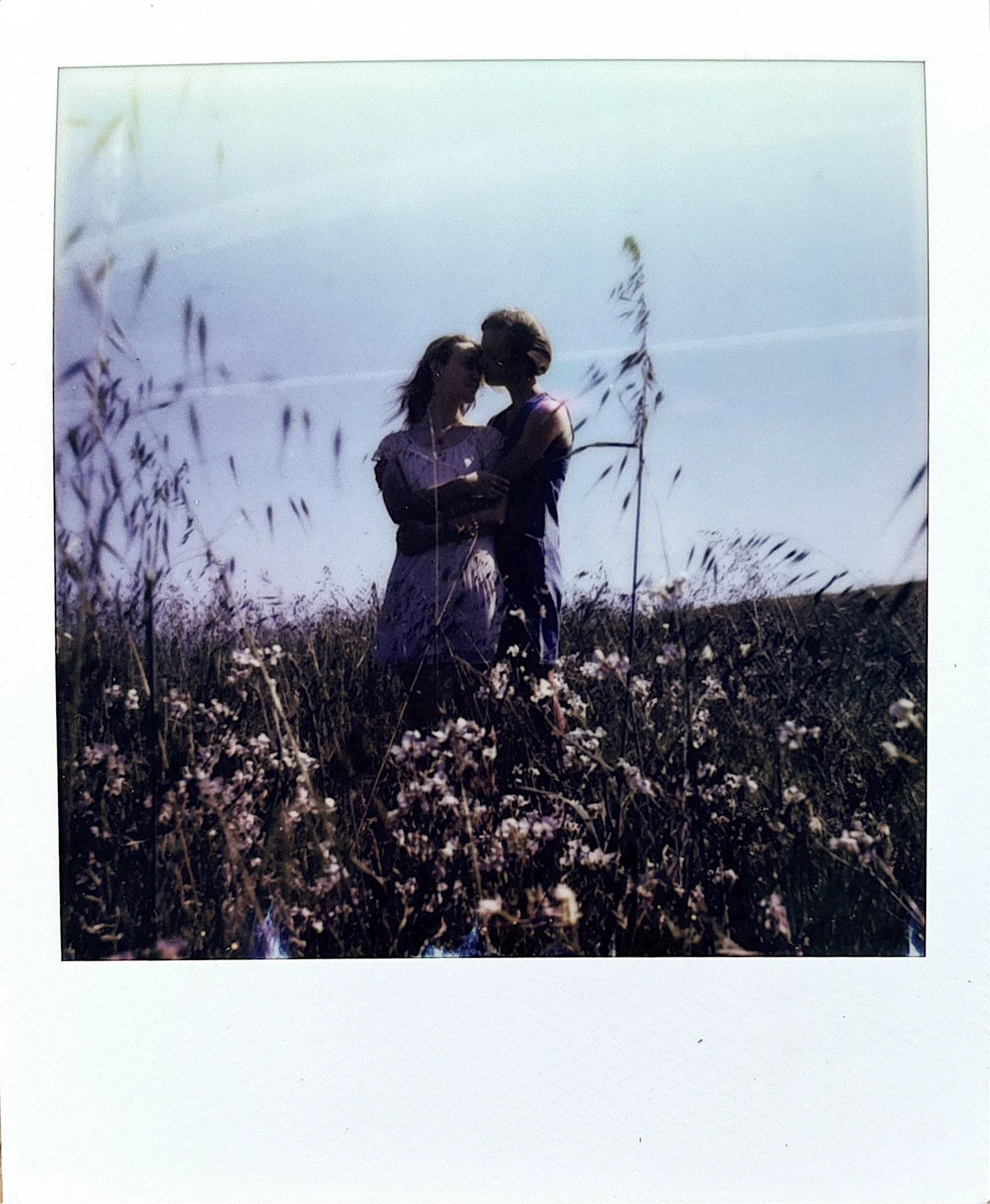 ap-polaroids-01.jpg