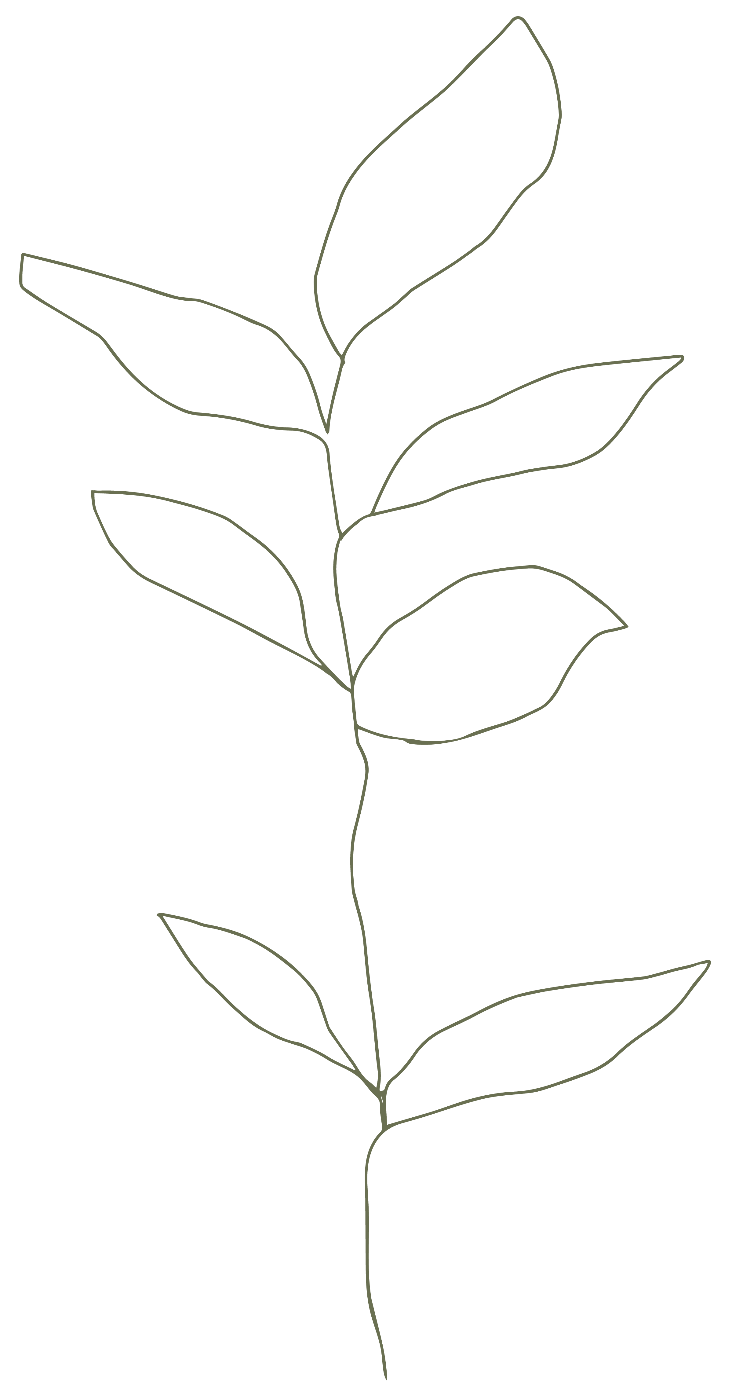 Flower 1080px-02.png