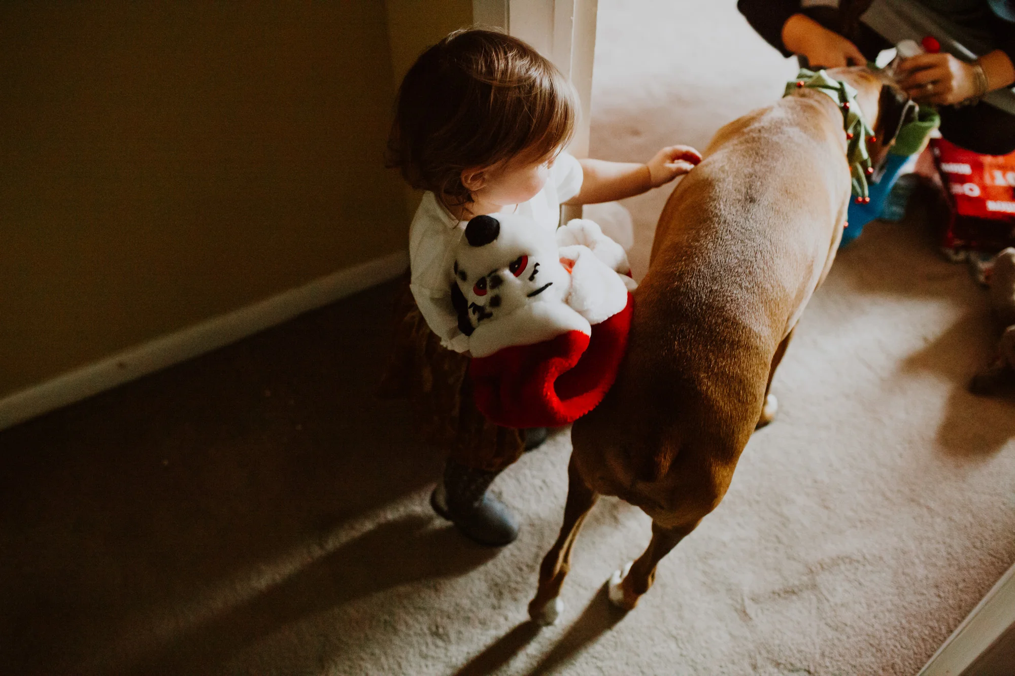 holiday-6.jpg