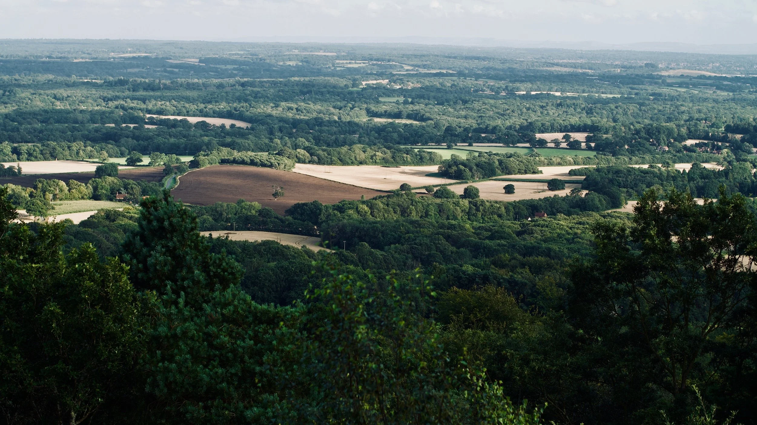 In Defense of Surrey