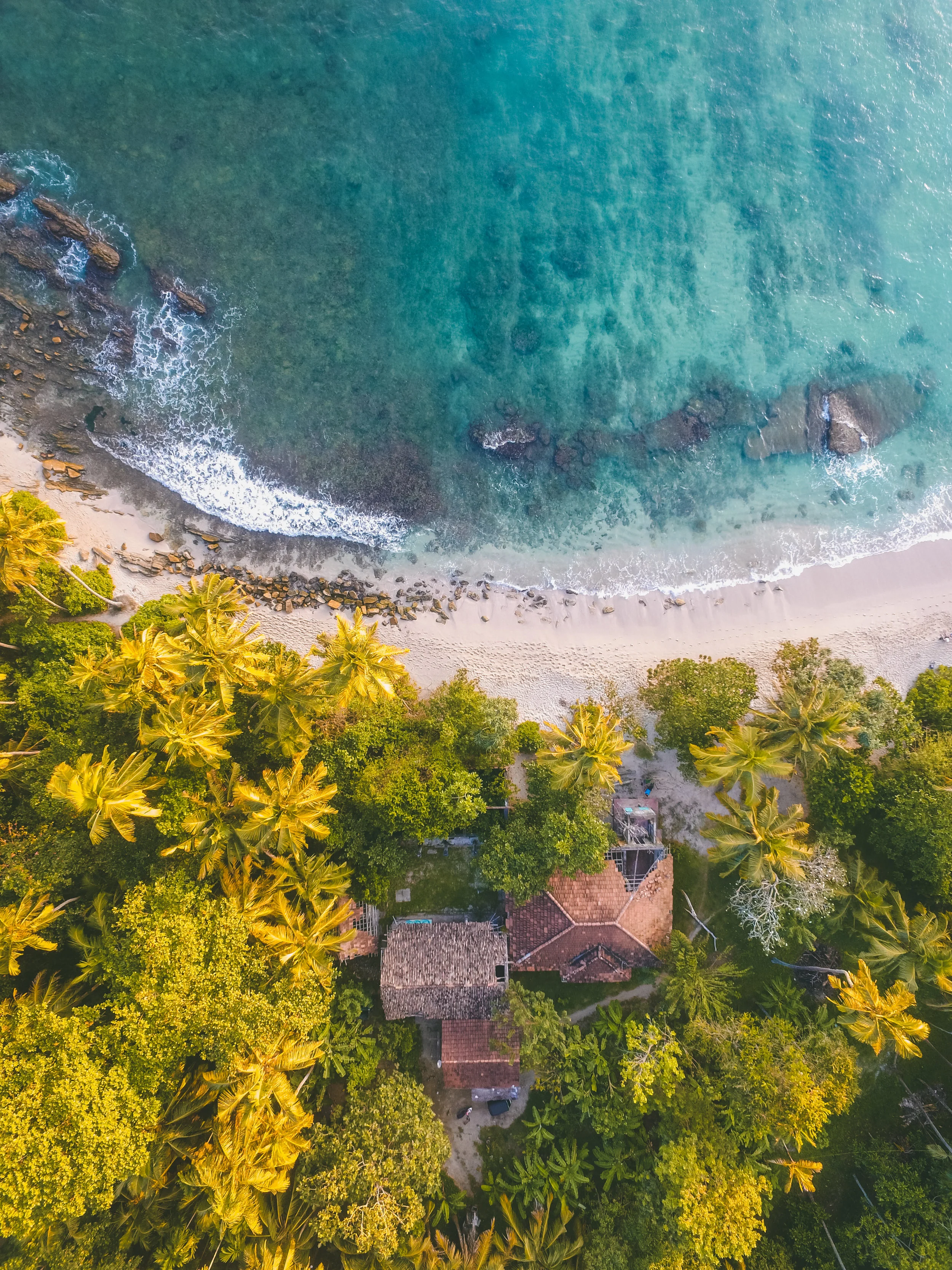 What To Know Before Visiting Sri Lanka