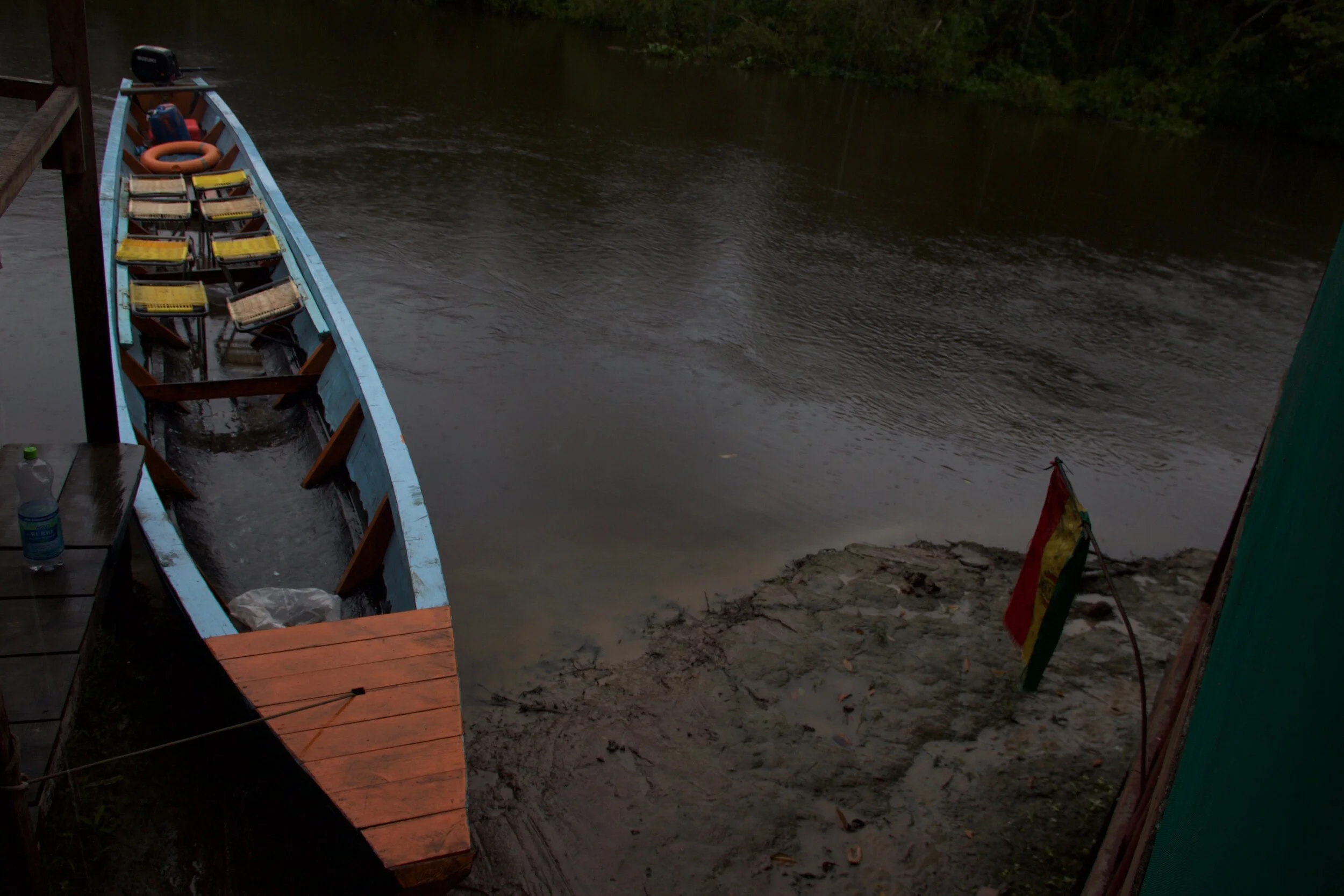 How to Visit the Amazon Rainforest For Cheap