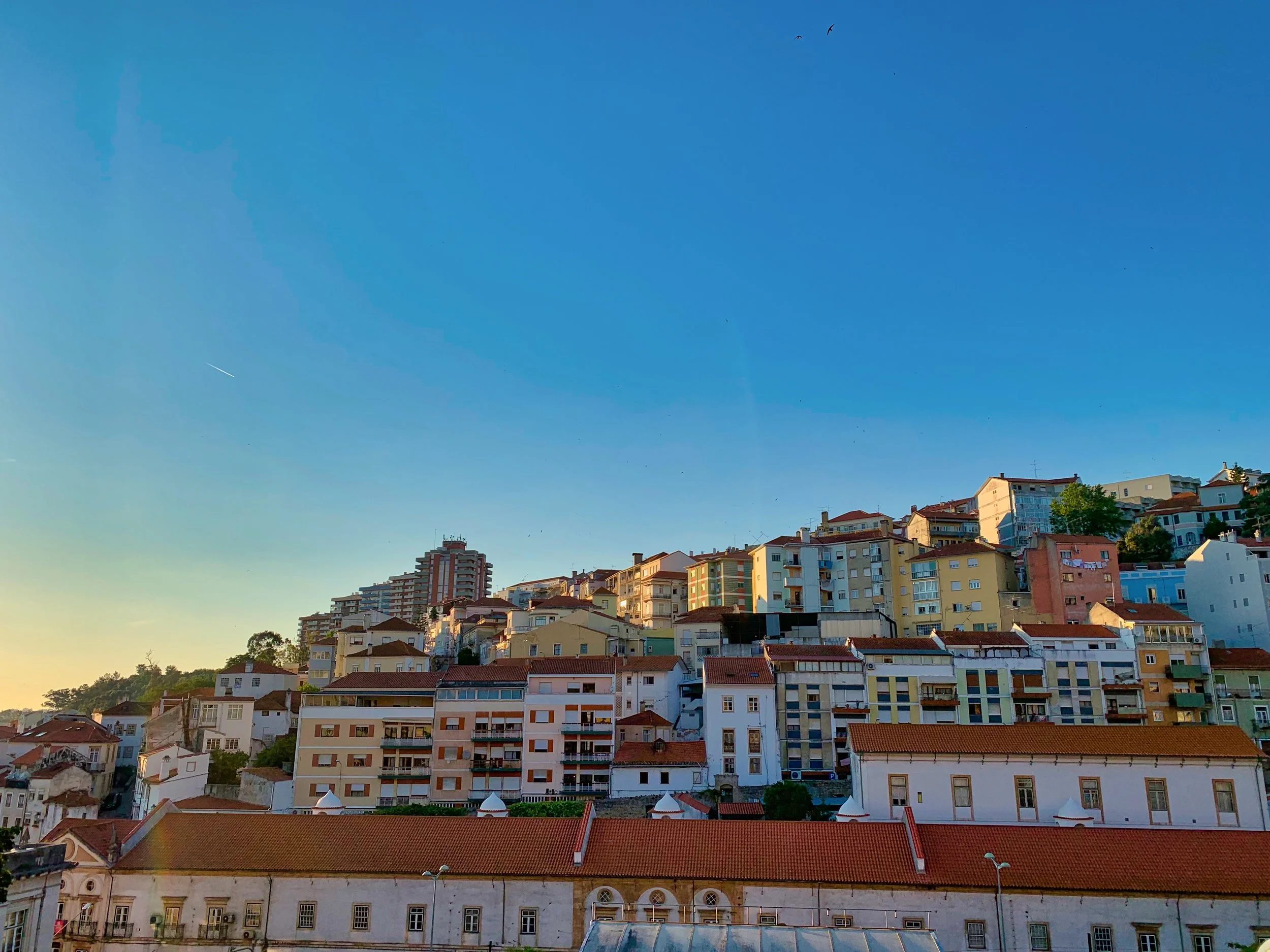 Why You Should Go To Coimbra
