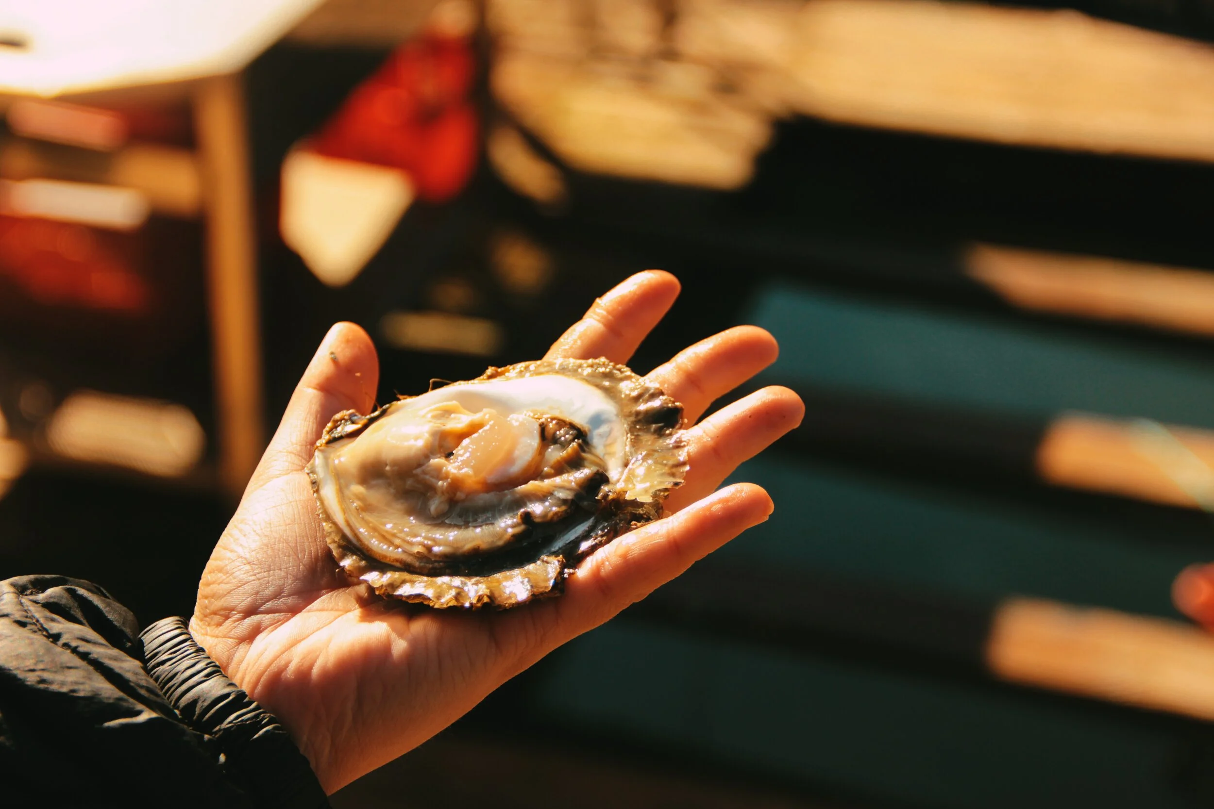 Tony's Oyster Shack: The Best Oysters in The World