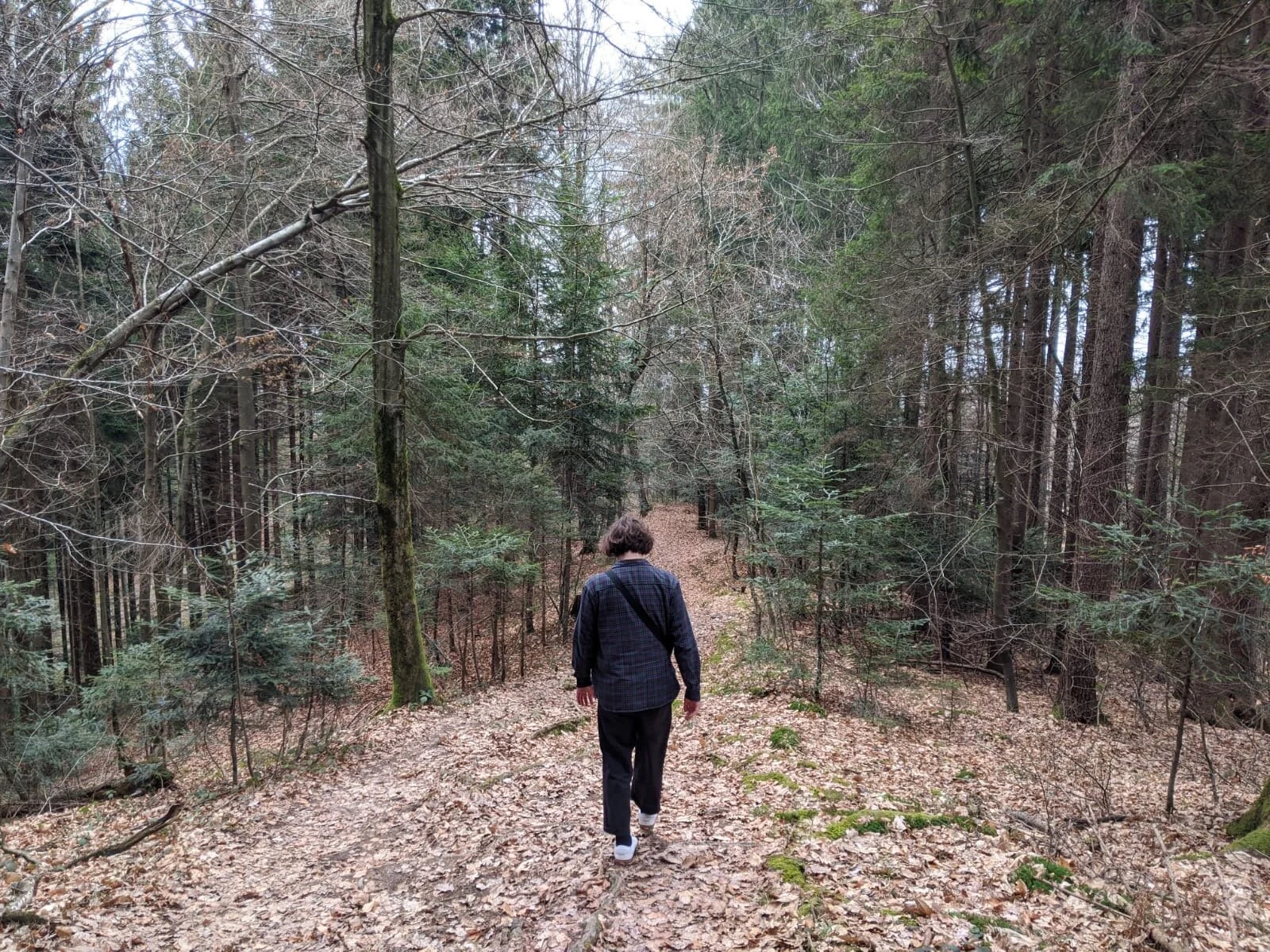 A Guide to the Three Castles Walk in Skofja Loka