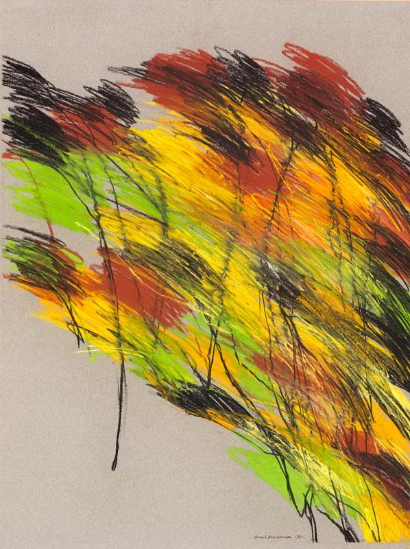 Trees in the Fall, Washington DC, 1982 - pastel on paper 64 x 48 cm.
