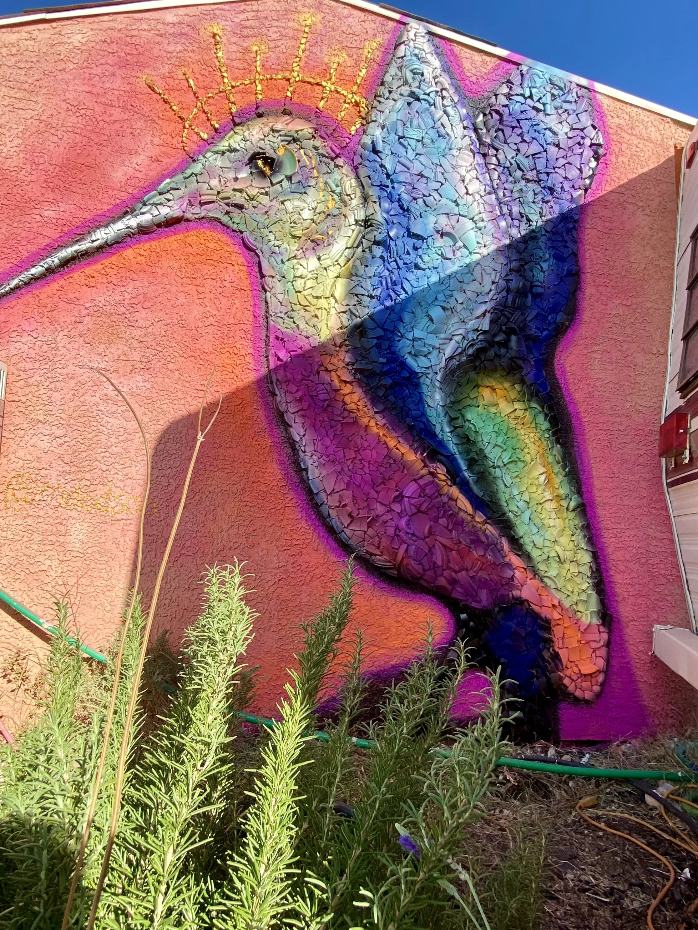 AirBnbHummingbird.jpeg