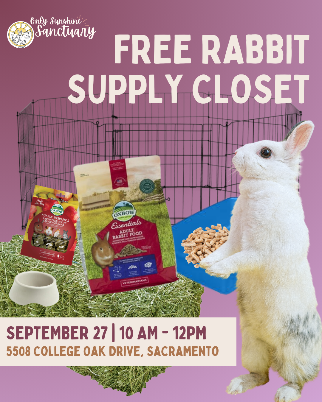 Rabbit Supply Closest