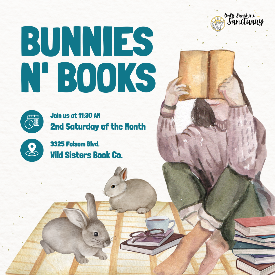 Bunnies ‘N’ Books