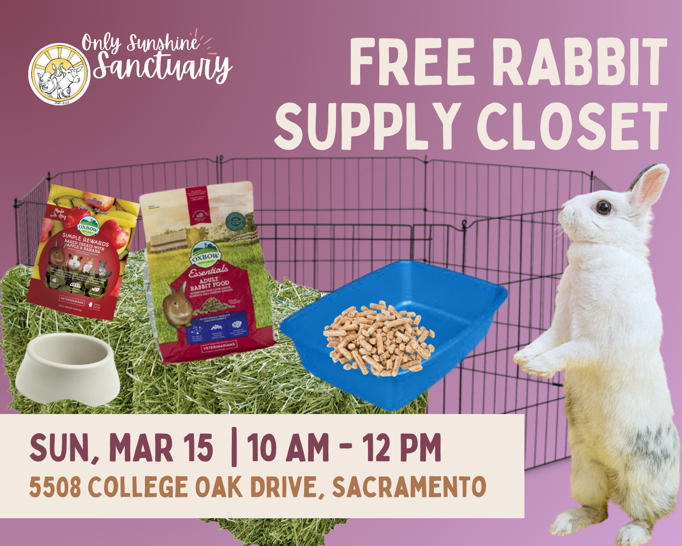 FREE Rabbit Supply Closet - March 2026