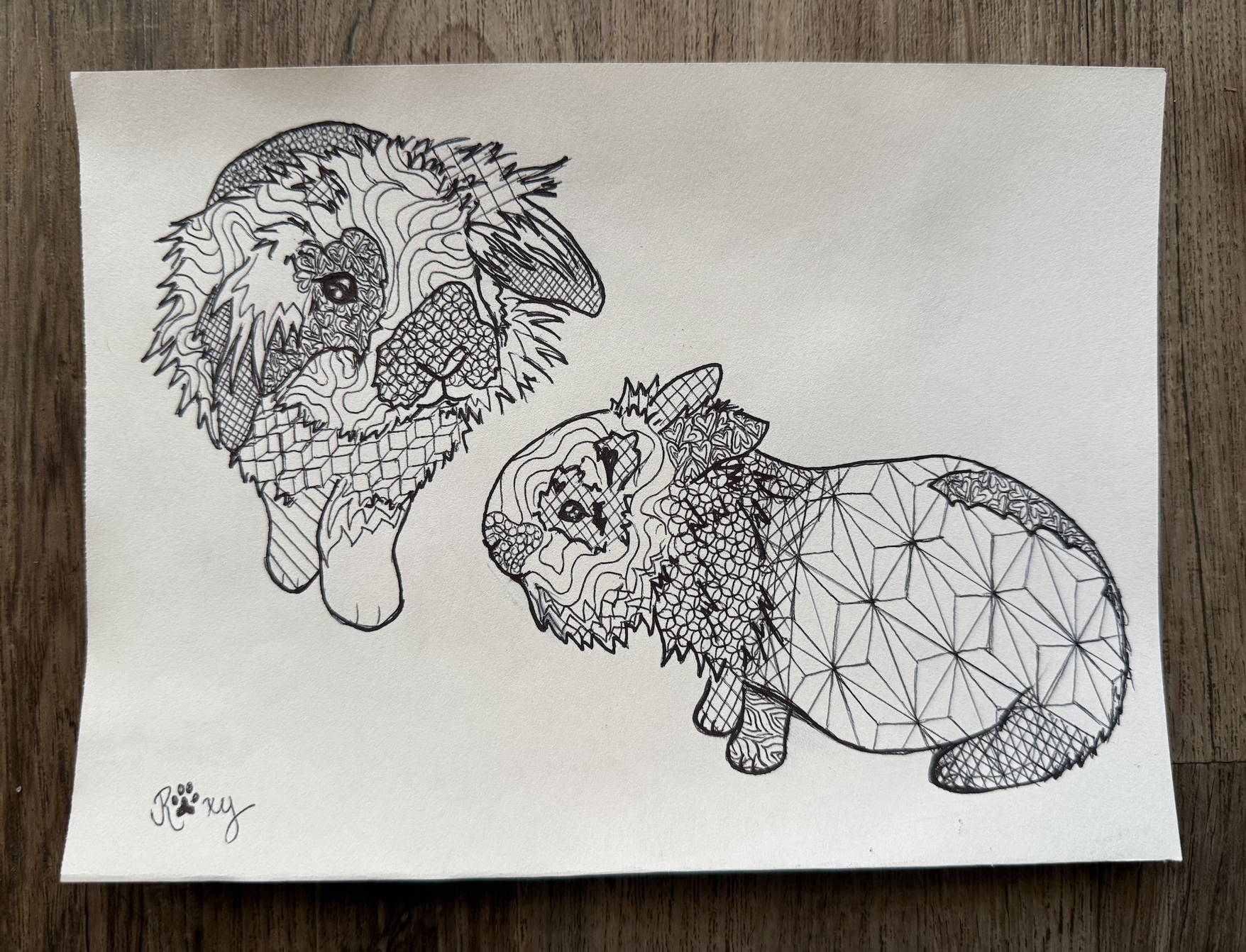 Easy Summer Craft: Turn Your Pet into a Coloring Book Page! 🐾🎨