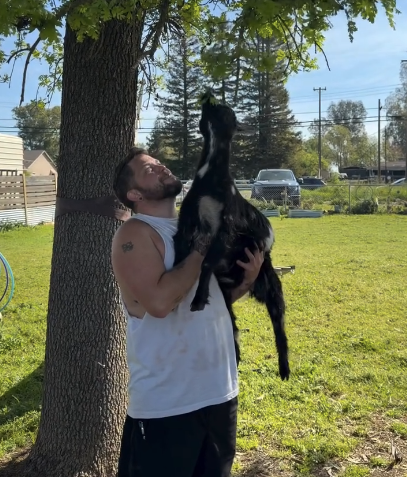 Meaningful Last-Minute Father's Day Gifts That Help Animals 💗