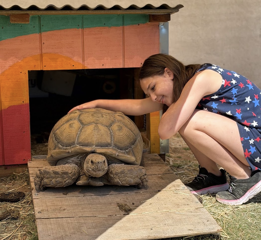 Five Amazing Things We Love About Our Sanctuary Residents! 💗