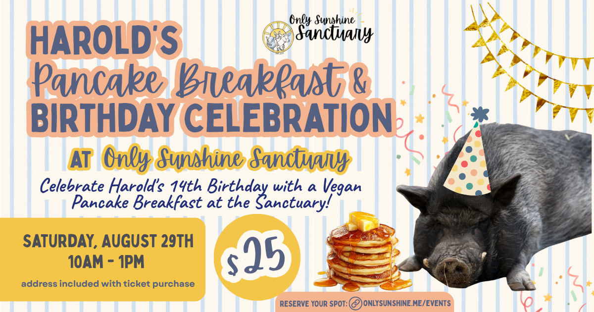 Harold's Pancake Breakfast & Birthday Celebration!
