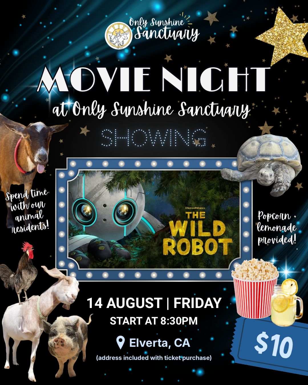 Movie Night: Wild Robot