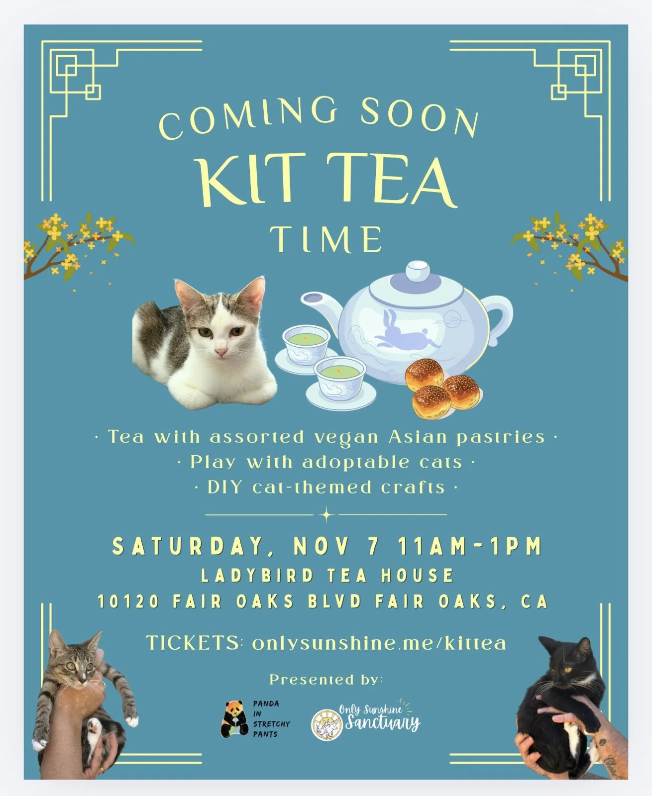 Kit-Tea