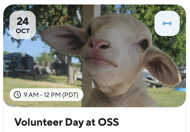 Volunteer Day @ Only Sunshine Sanctuary