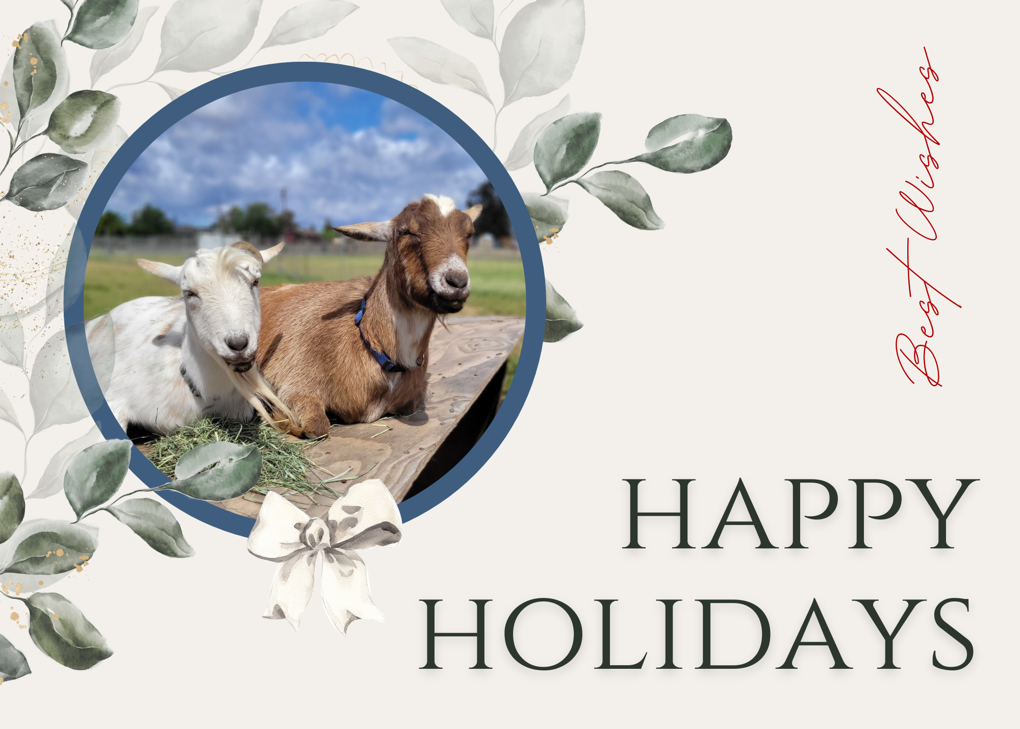 Copy of Holiday Cards (3).png