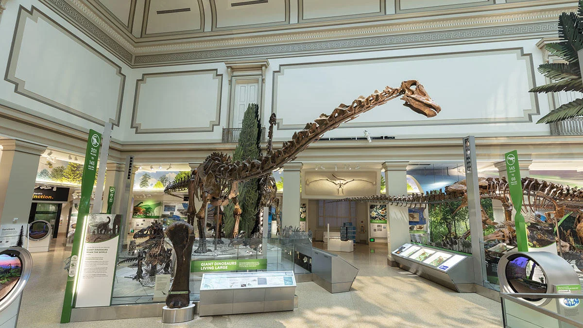 Photo credit: Anna Torres, Smithsonian Institution