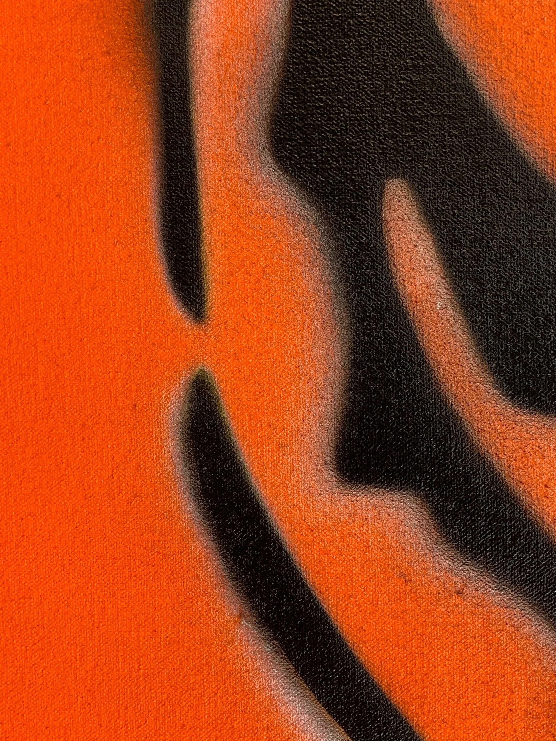 65BFD8B8-3020-4DFA-BDEA-92E15F0812D7