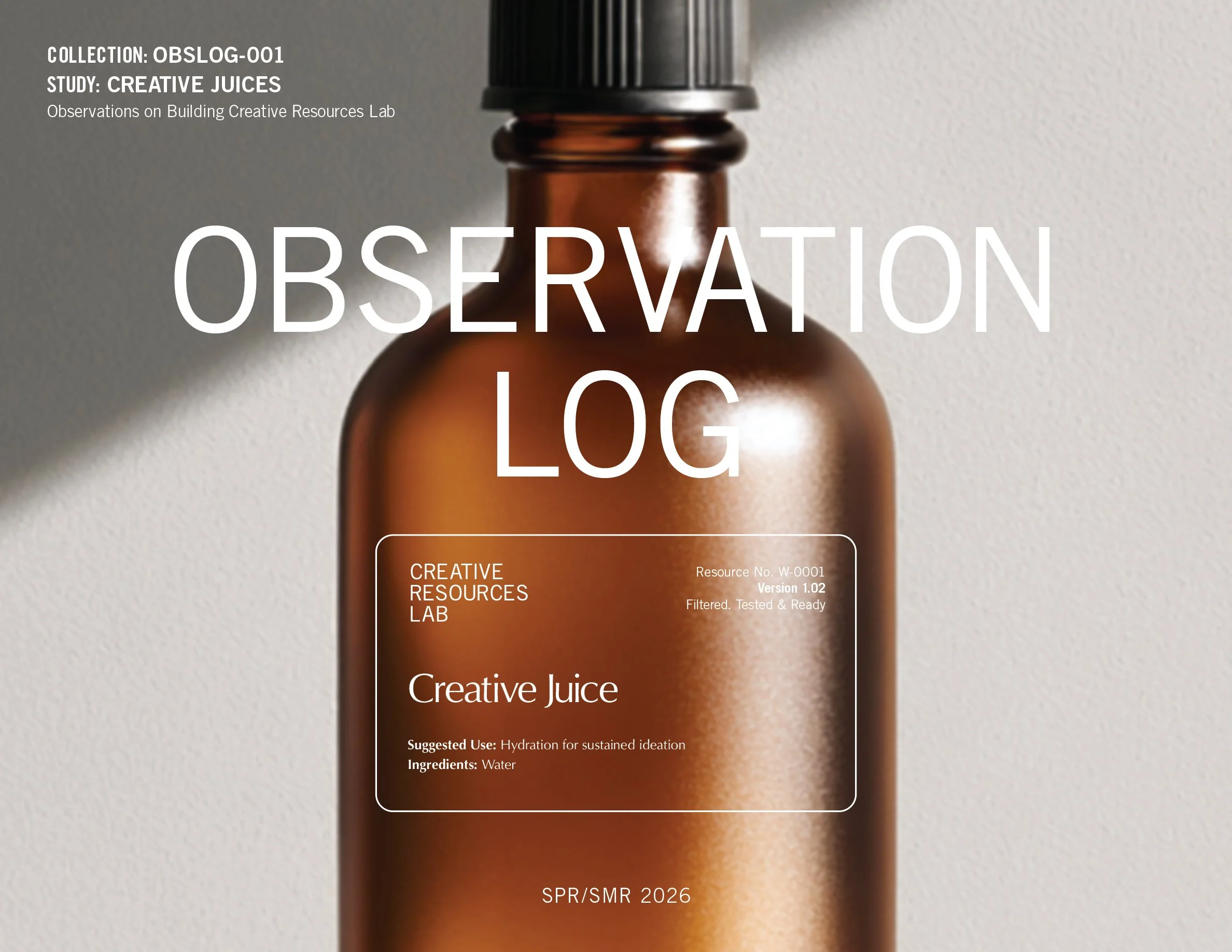OBSERVATION LOG CREATIVE JUICES@3x-100.jpg