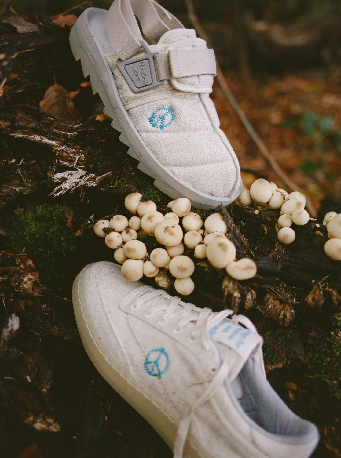 Hollie Fernando Story x Reebok 20.jpg