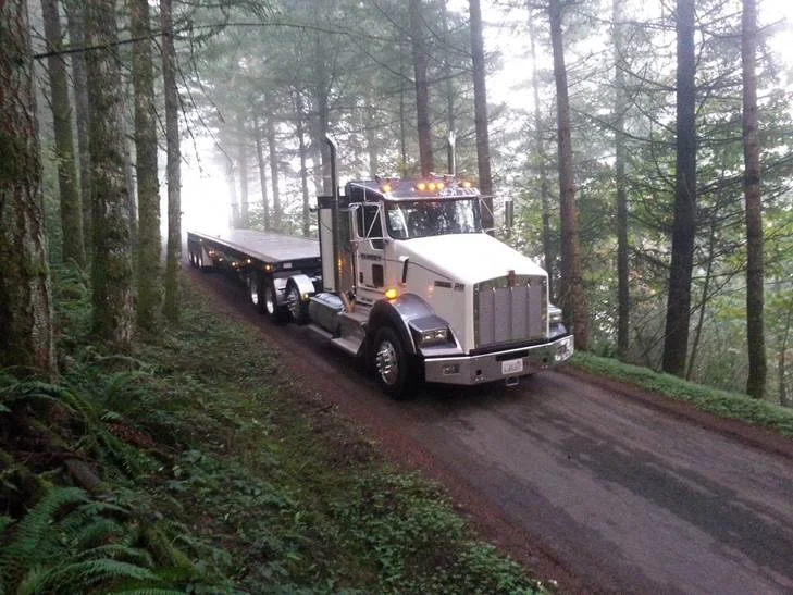 throughforest.jpg