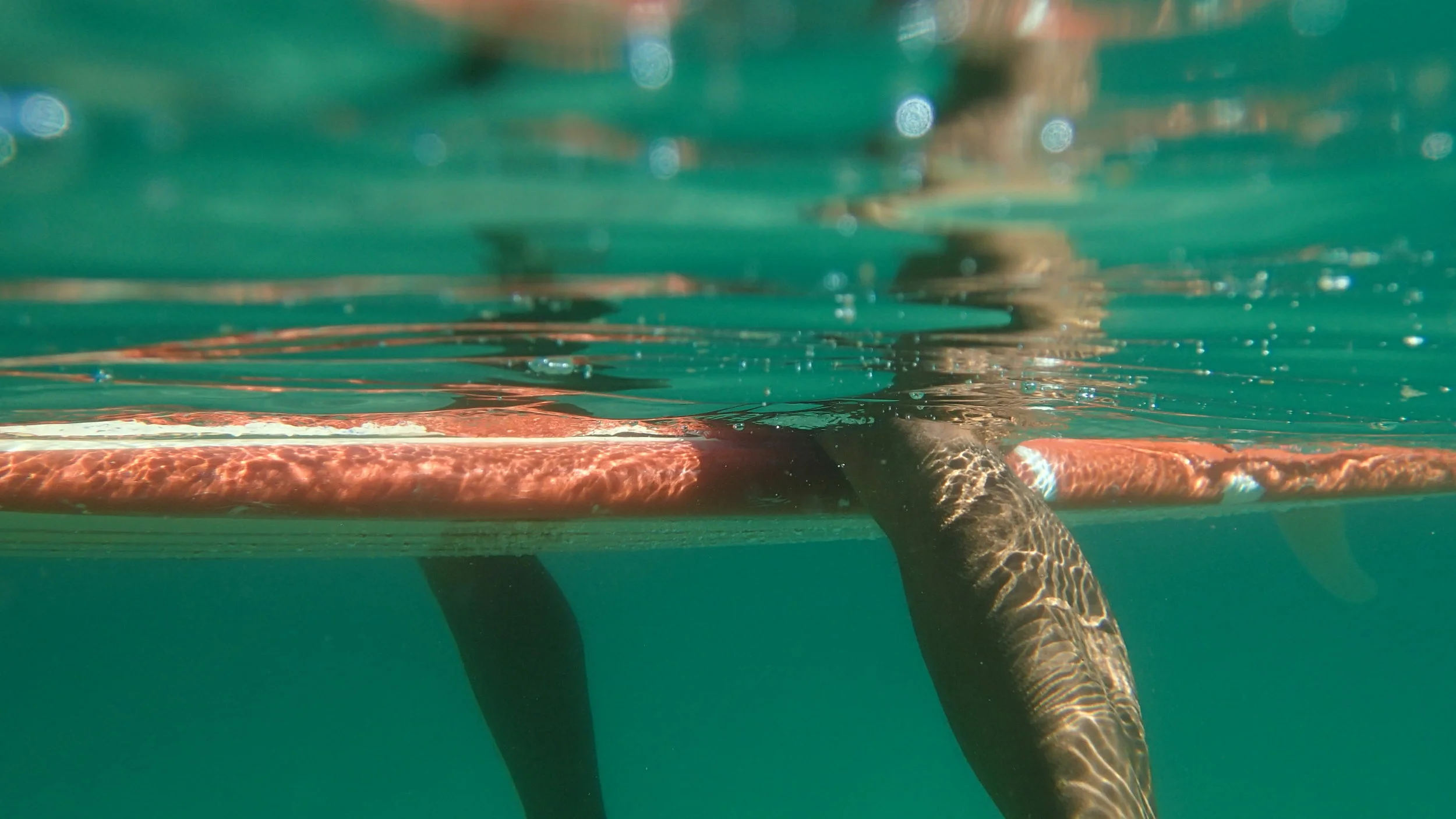 Donde se sumerge el pasado