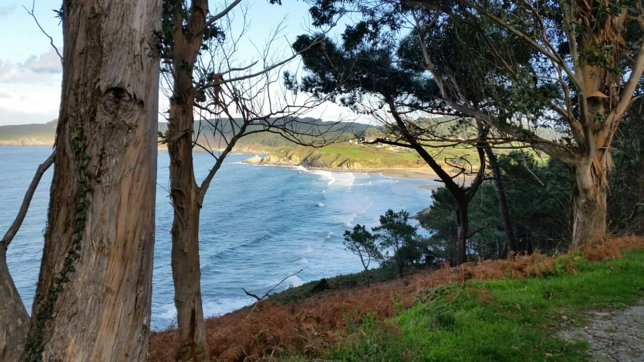 Un velero llamado libertad