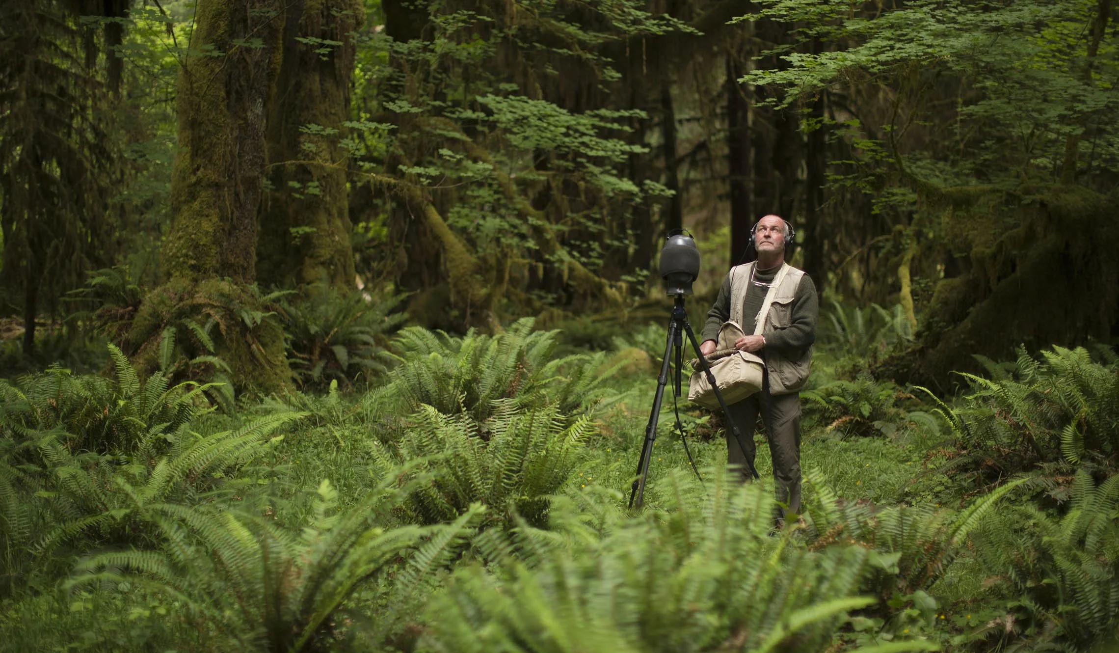 Where Silence Reigns