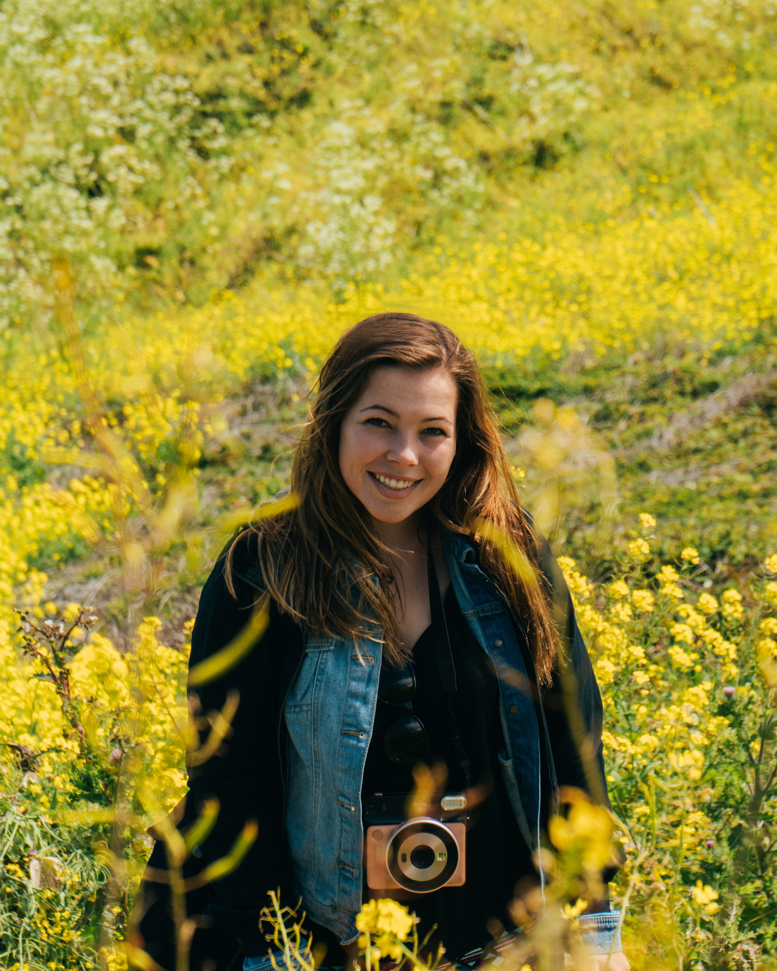Wildflower heaven.