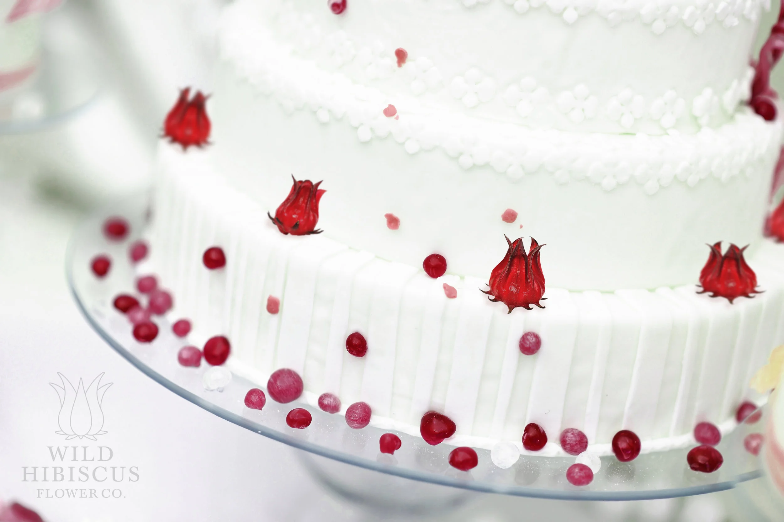 Hibiscus tilted cake goodMERGE.jpeg