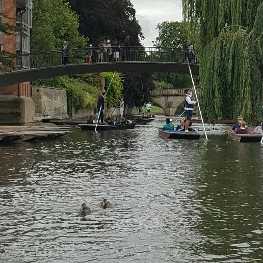 Punting in Cambridge