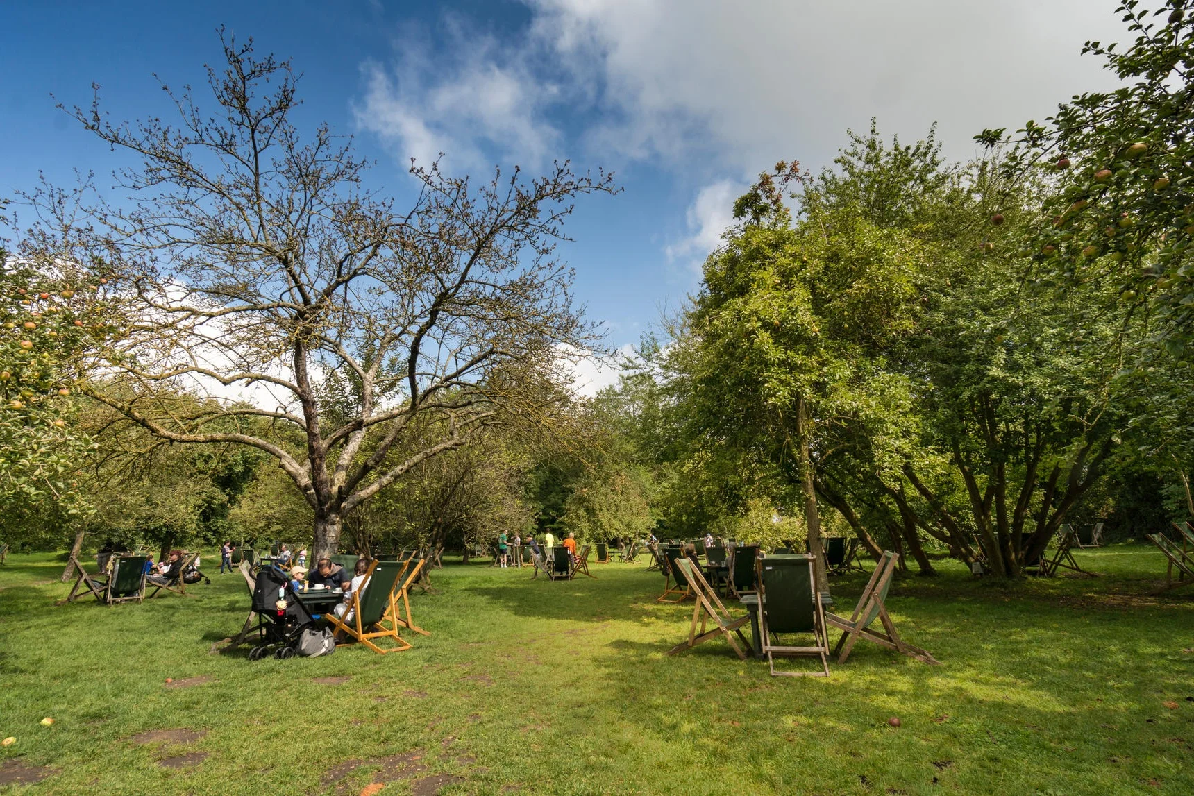 Tea in the Orchard, Grantchester