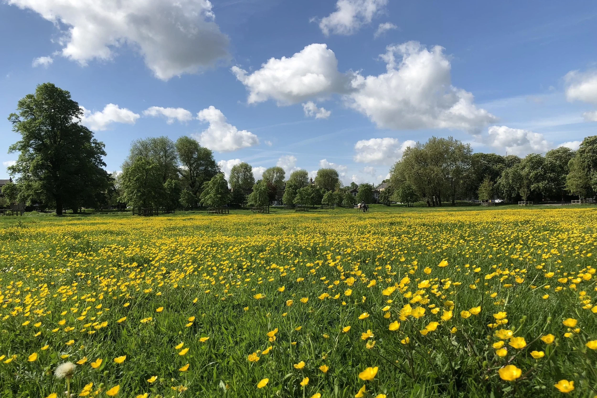 Midsummer Common, Cambridge