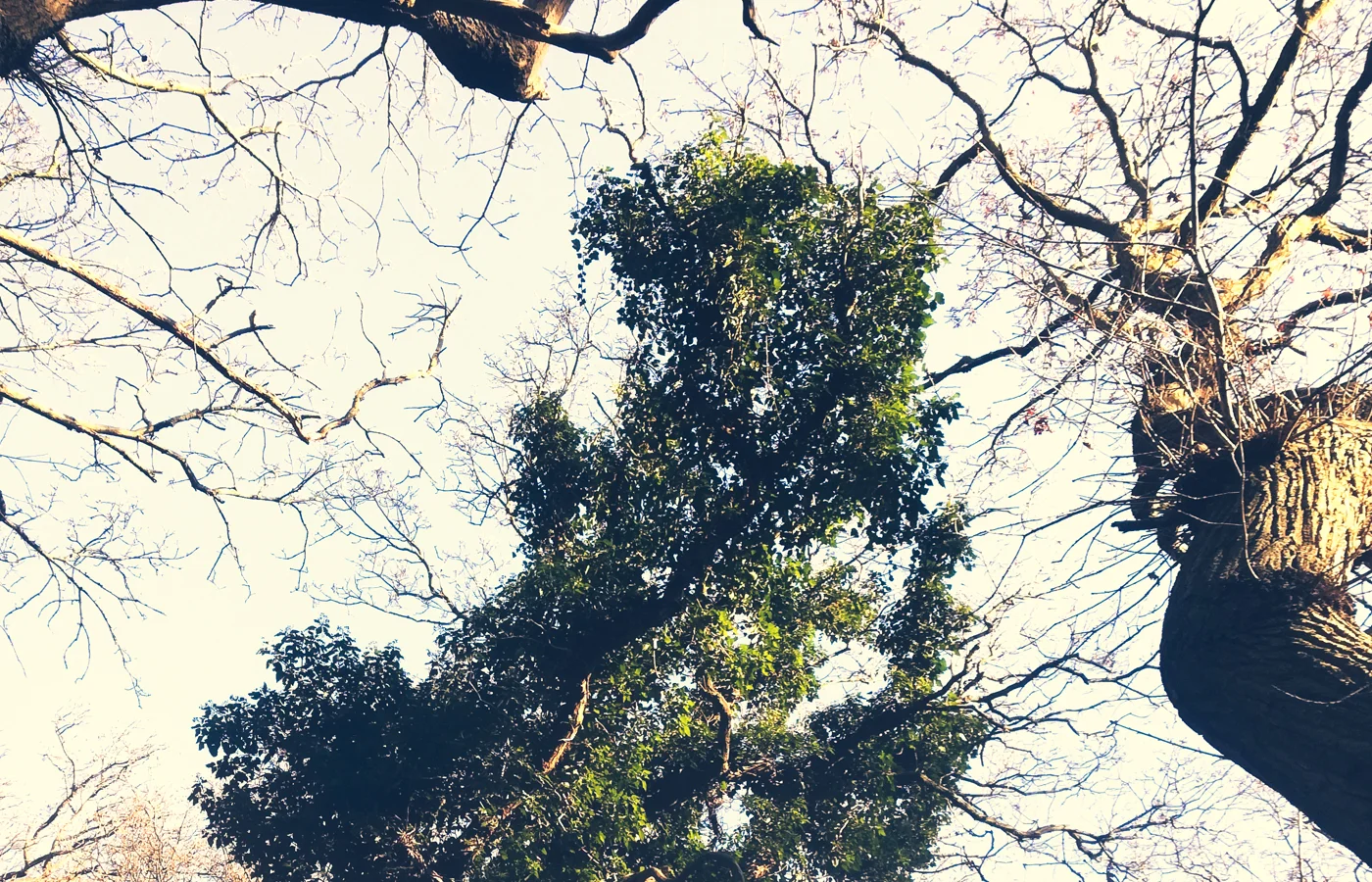 Vision Quest - En ny start, d. 29. marts kl. 18:30 - d. 30. marts kl. 10:30