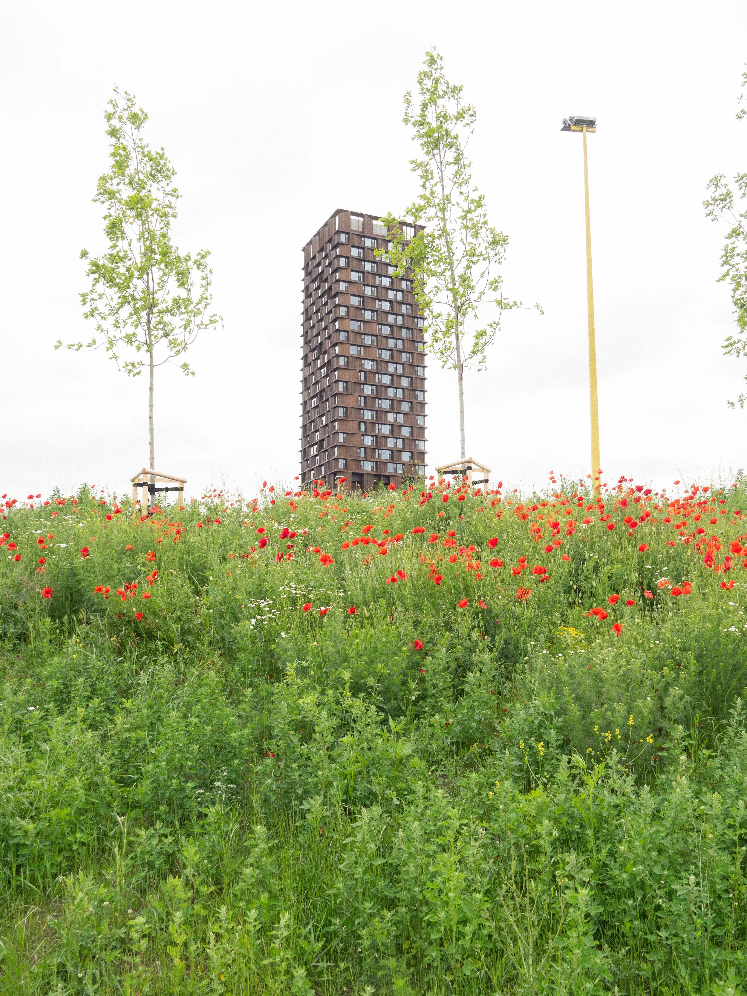 Mimersparken Kunstgræsbane_Thing Brandt Landskab_2026_AH-19.jpg