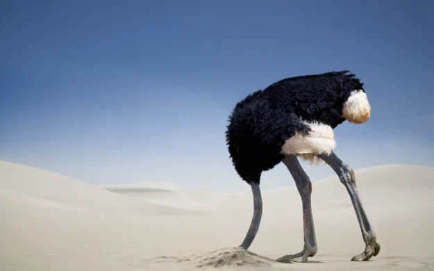 Why you need to be using video as an integral part of your marketing strategy.