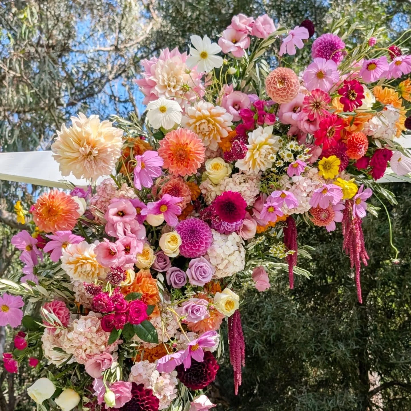 All my March favourites! 
Gorgeous cosmos &amp; dahlias from @flowerhillco 
Venue @thebatesfordhotel_events 

#geelongwedding #geelongflorist #nofloralfoam #arbourflowers #ceremonyflowers