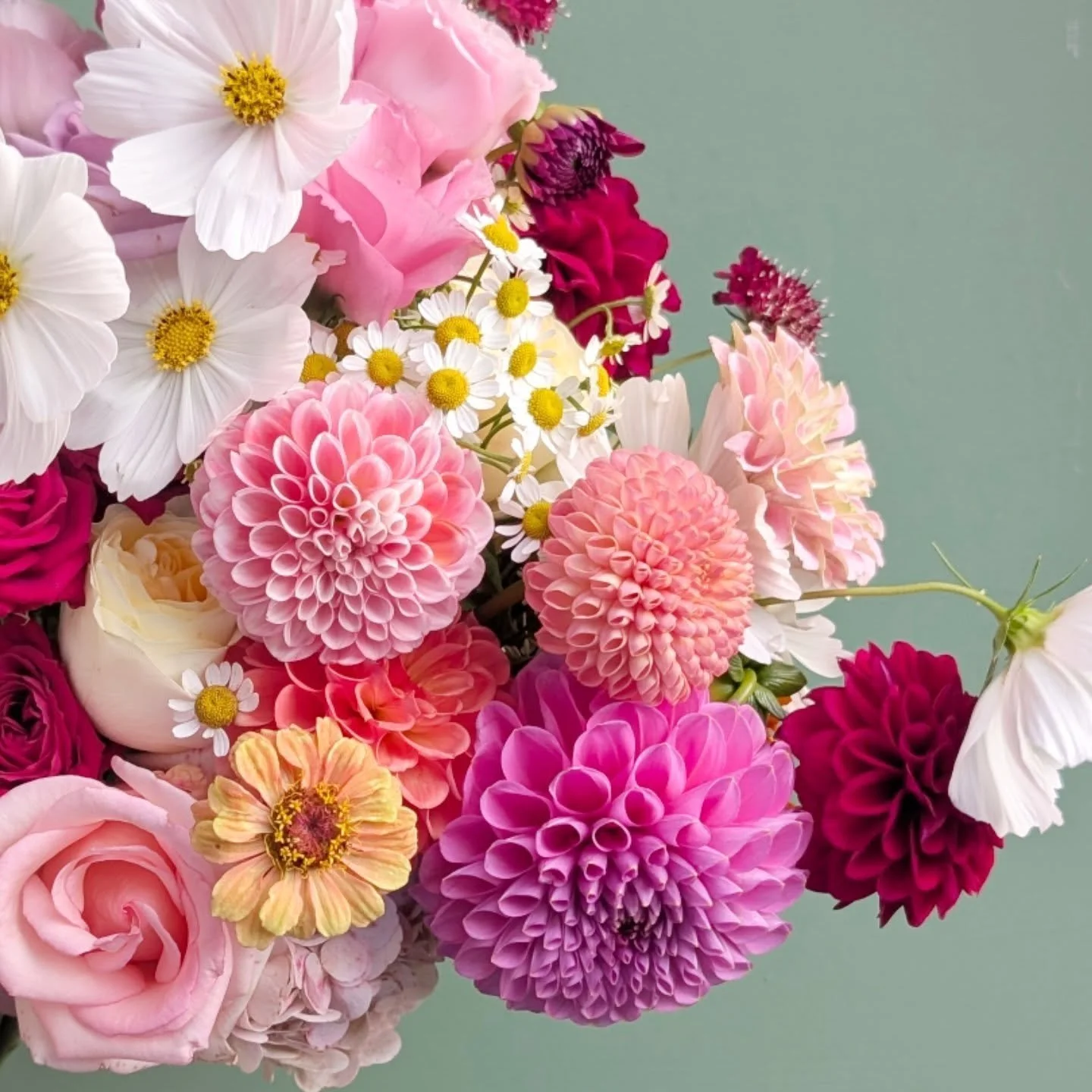 Already counting down until these favourites are back in my buckets - if this is your vibe, get in touch for next Summer! 

#weddingflowers #geelongwedding #geelongflorist #bridalbouquets #bridalbouquets